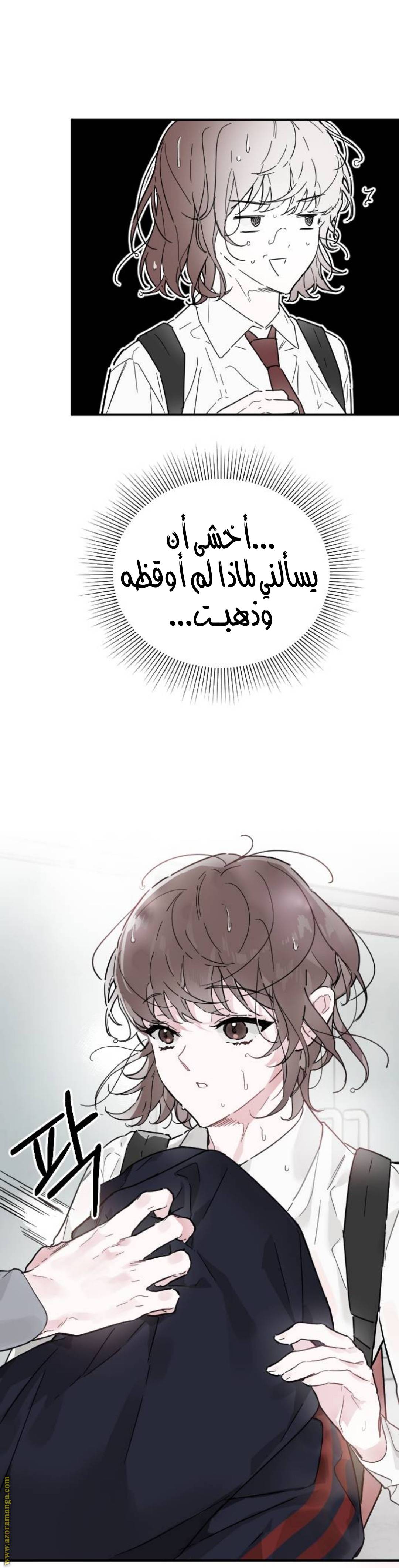 الصفحة 33