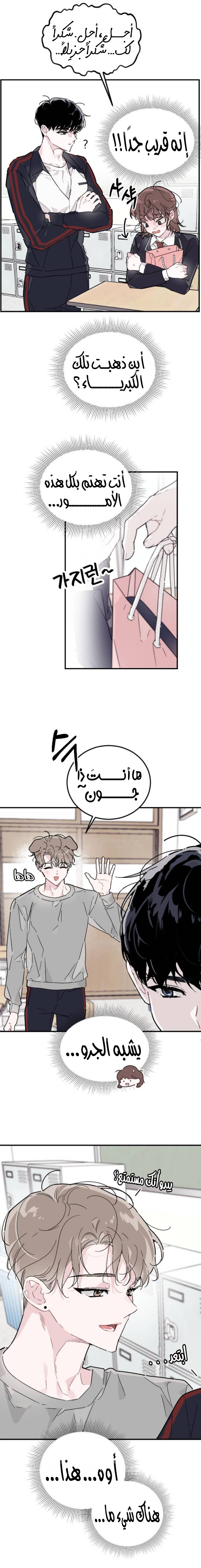 الصفحة 8