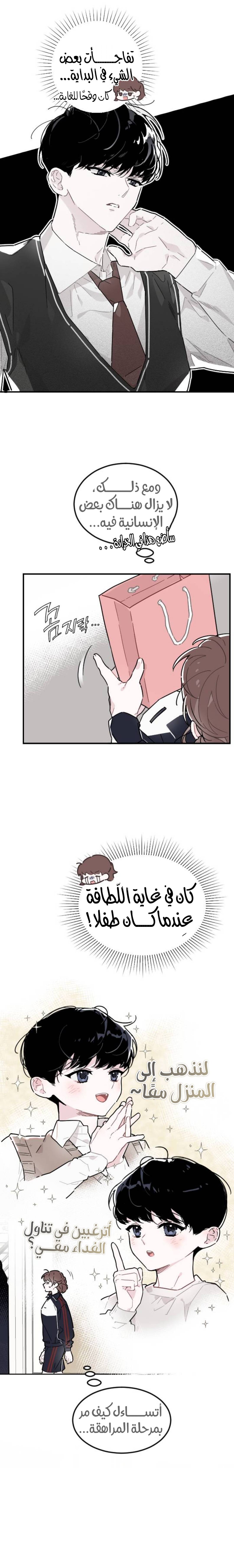 الصفحة 11