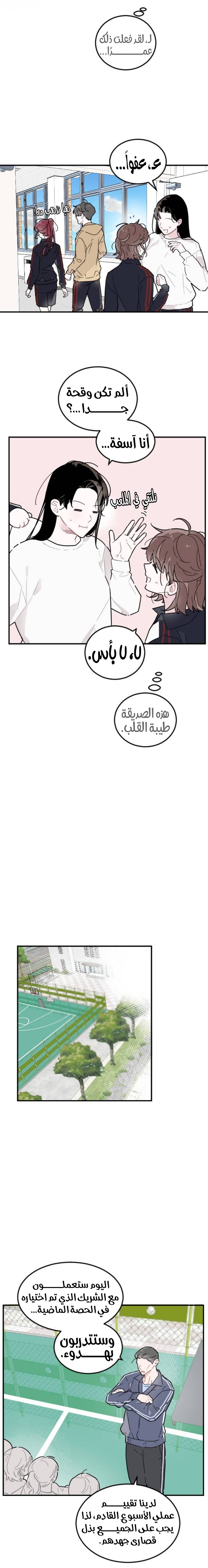 الصفحة 13