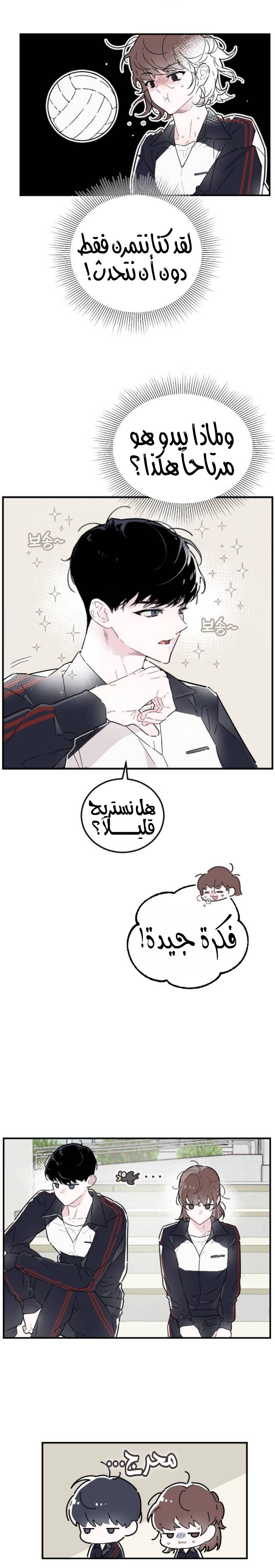 الصفحة 17