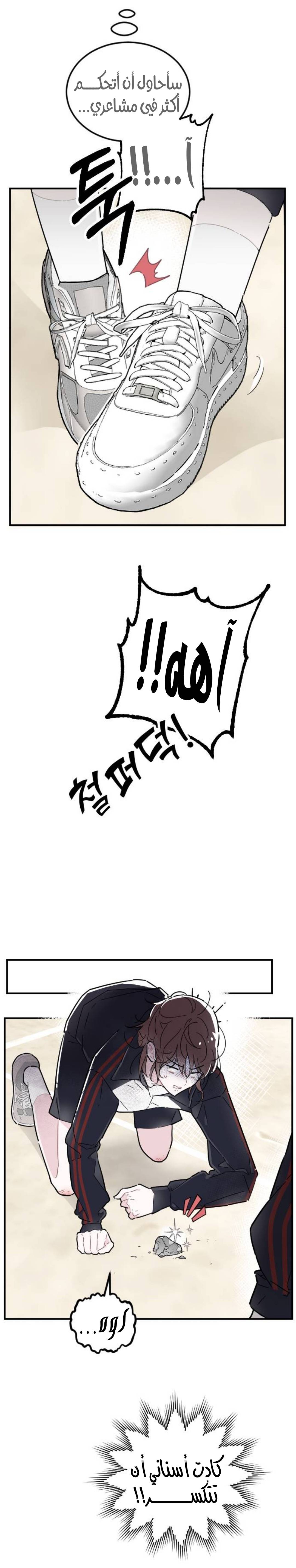 الصفحة 24