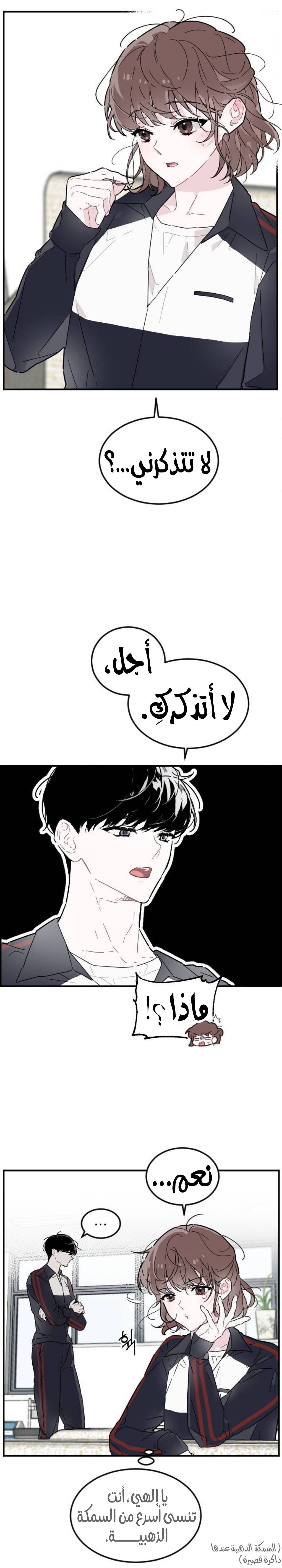 الصفحة 32