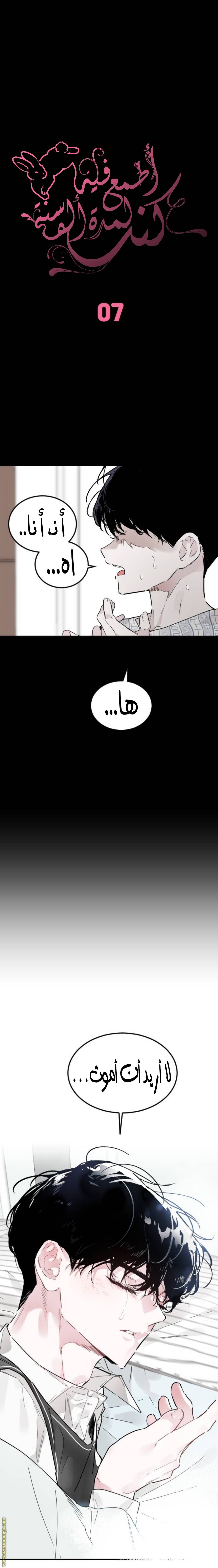 الصفحة 5