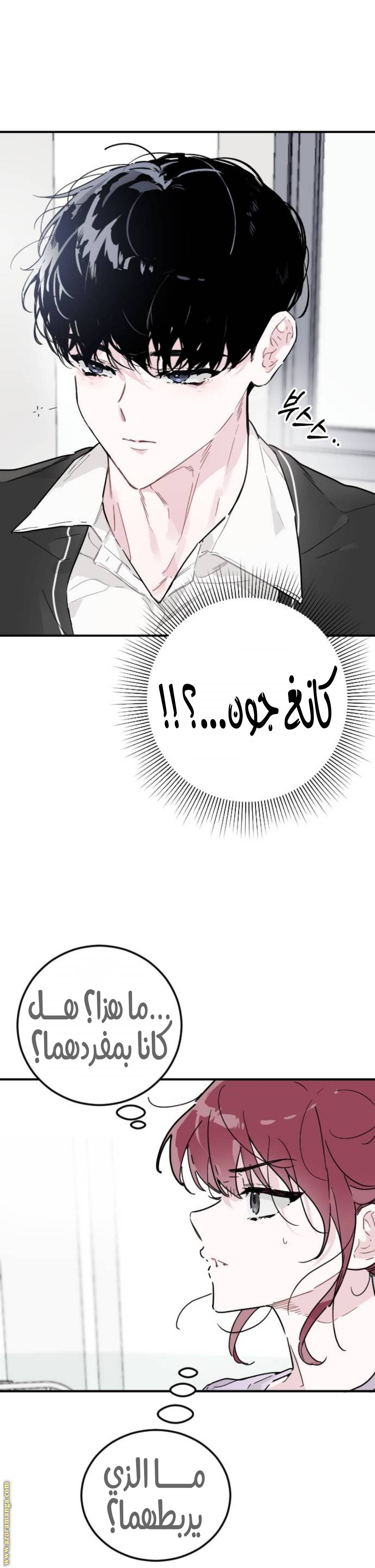 الصفحة 11