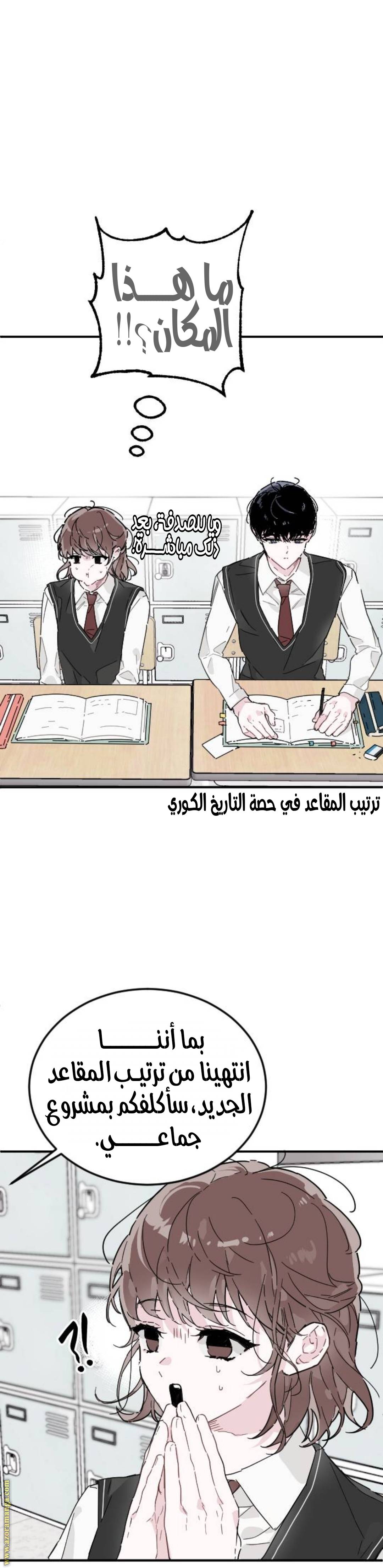 الصفحة 13