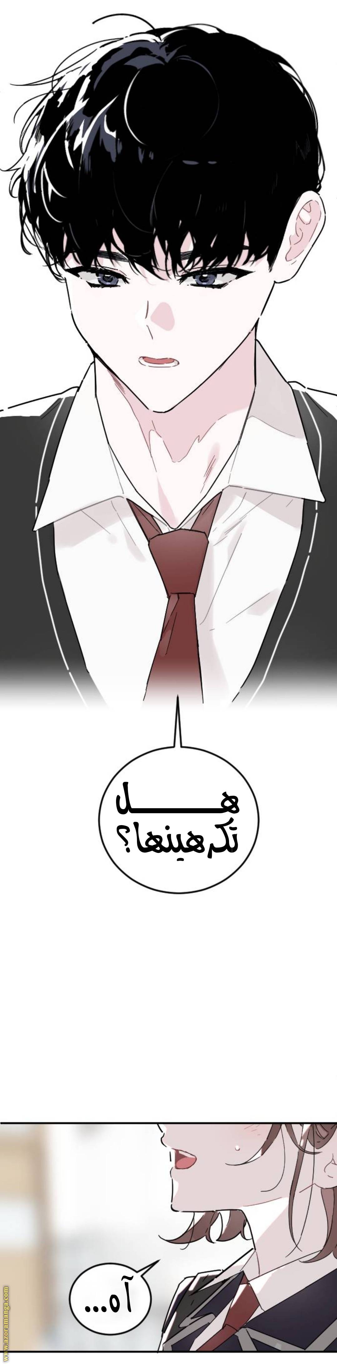 الصفحة 12