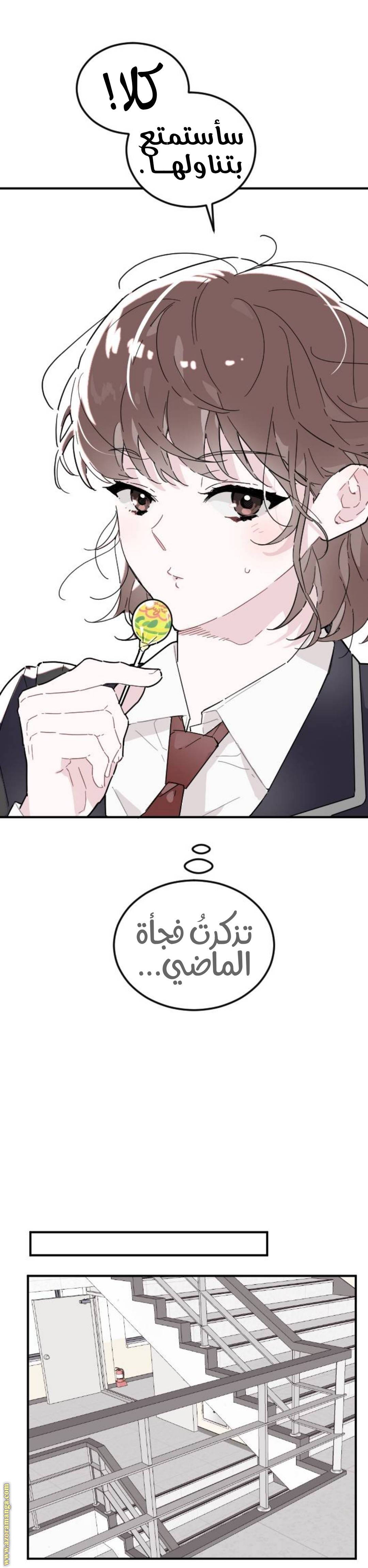 الصفحة 16