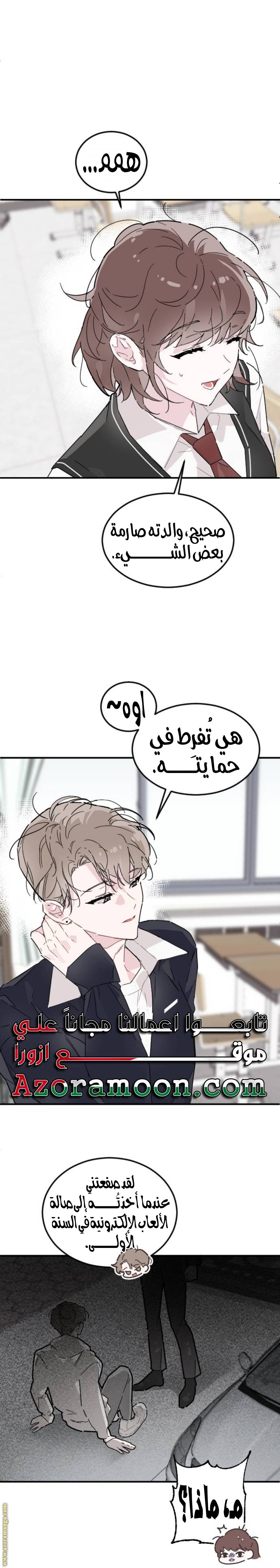 الصفحة 29
