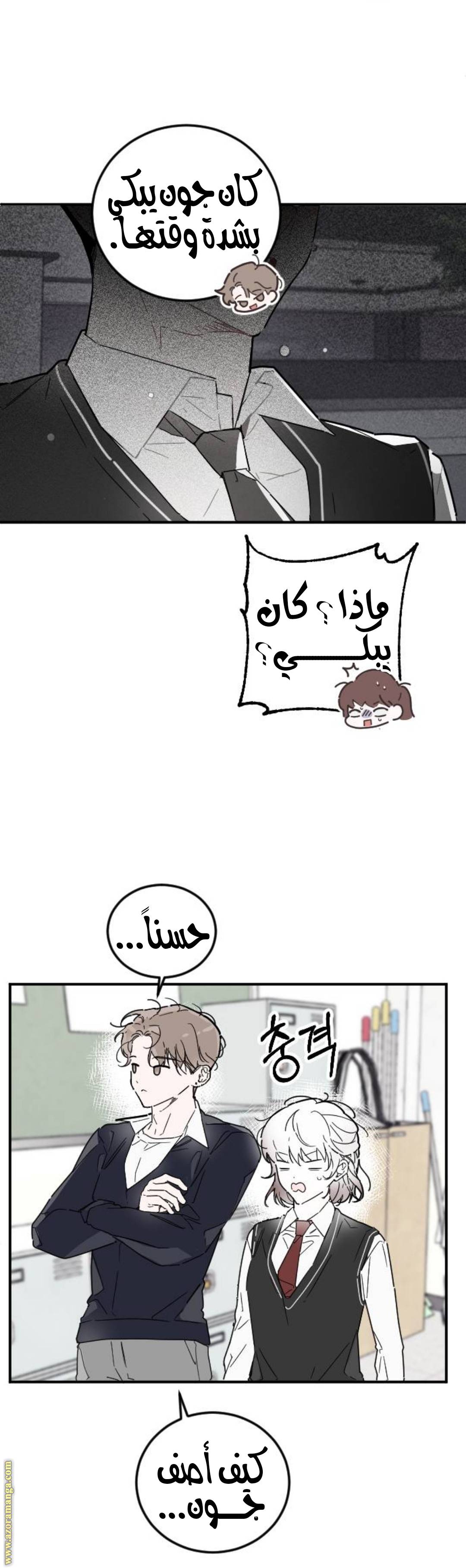 الصفحة 30