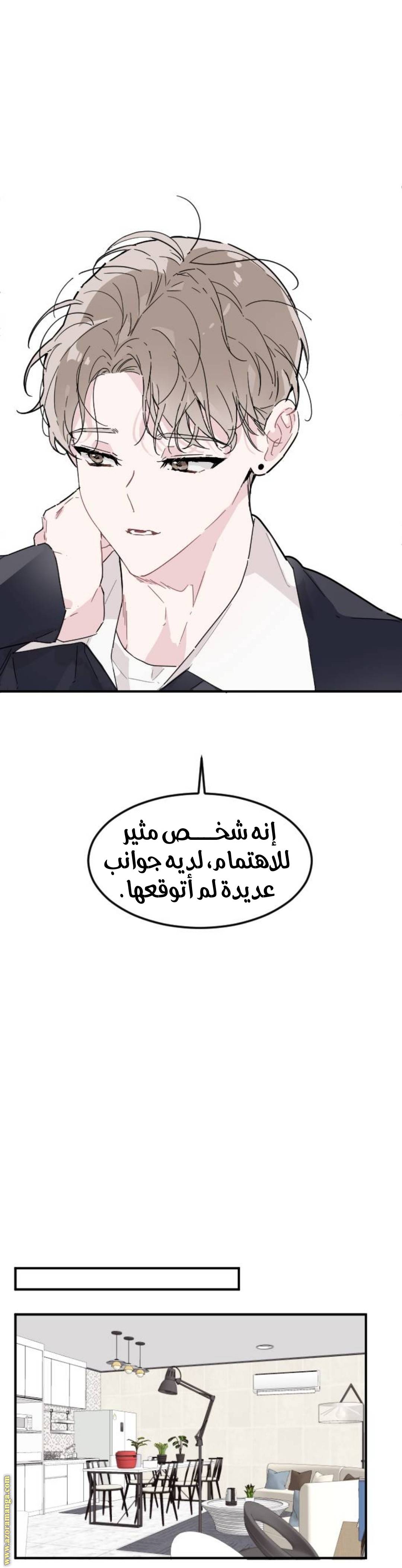 الصفحة 31
