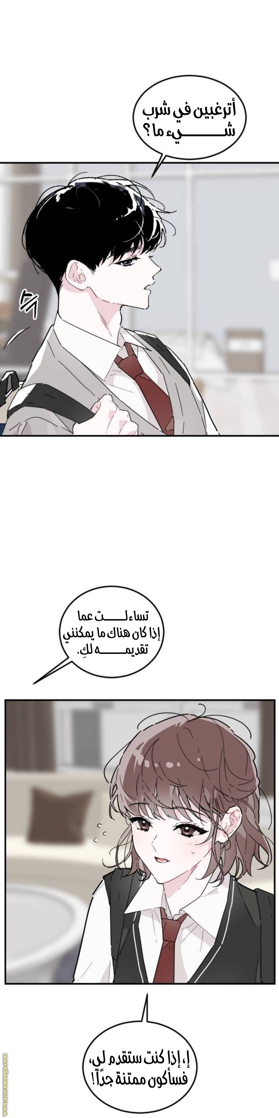الصفحة 33