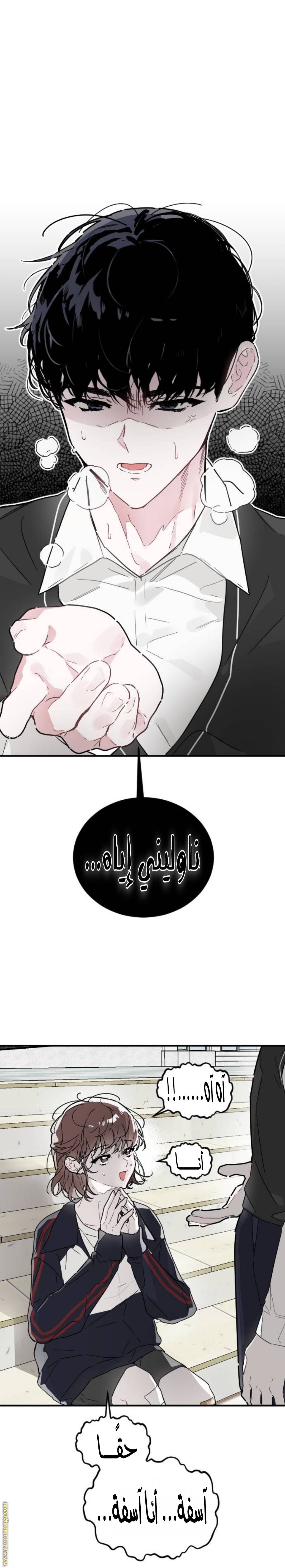 الصفحة 14