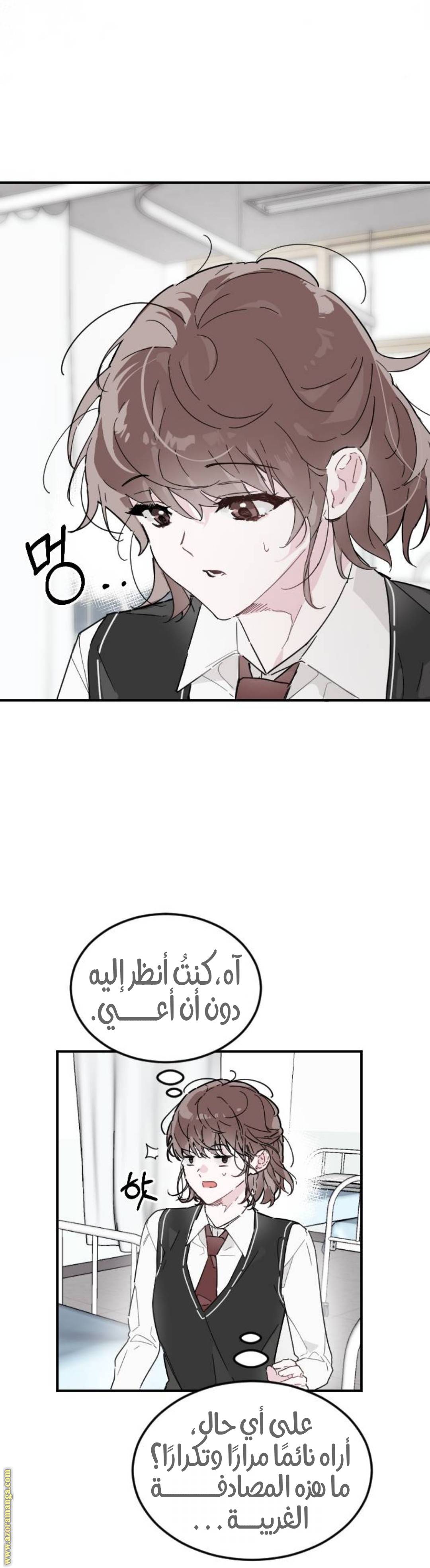 الصفحة 20
