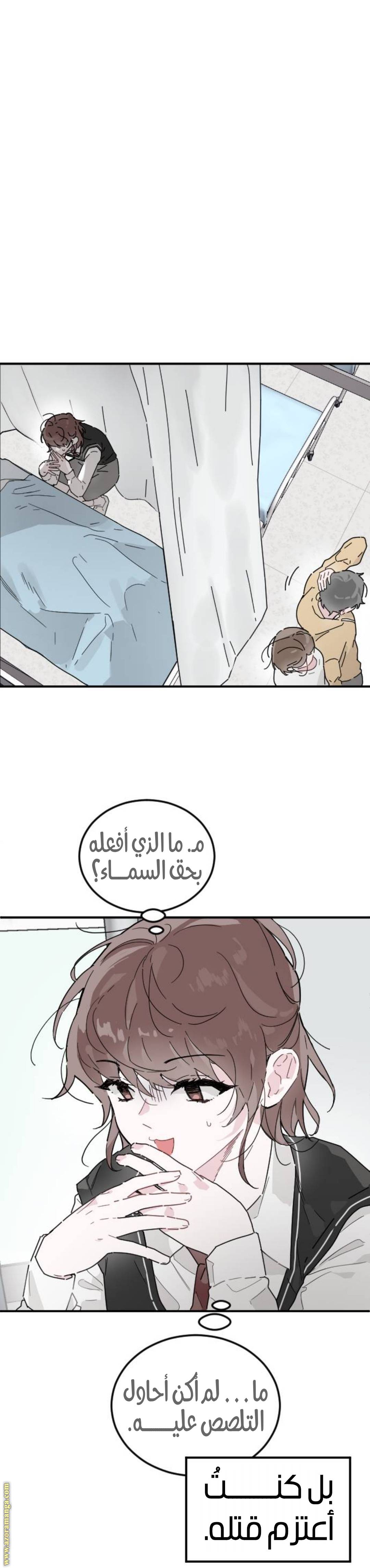 الصفحة 23