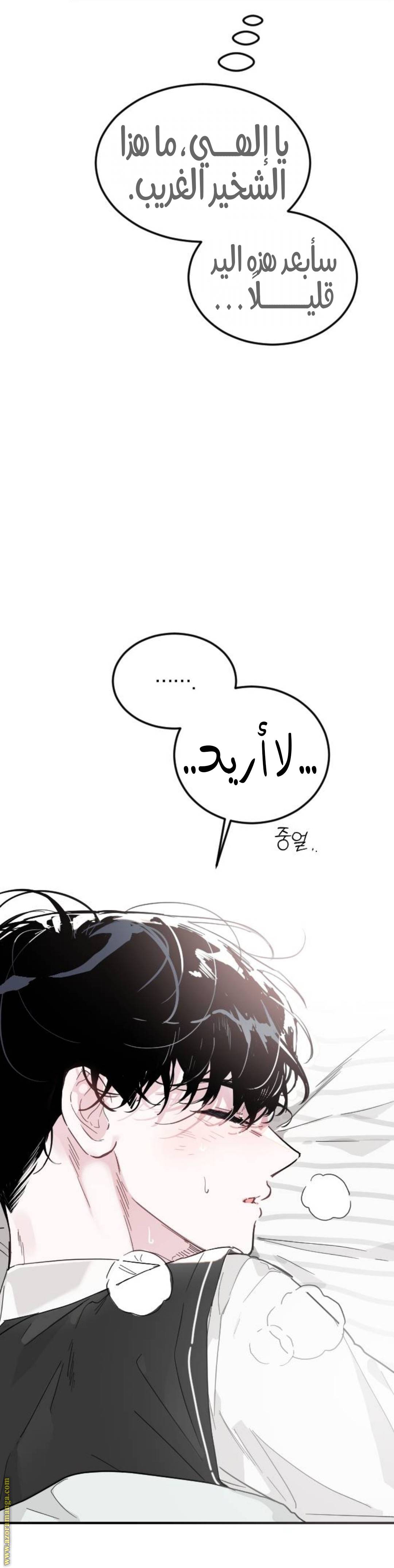 الصفحة 28