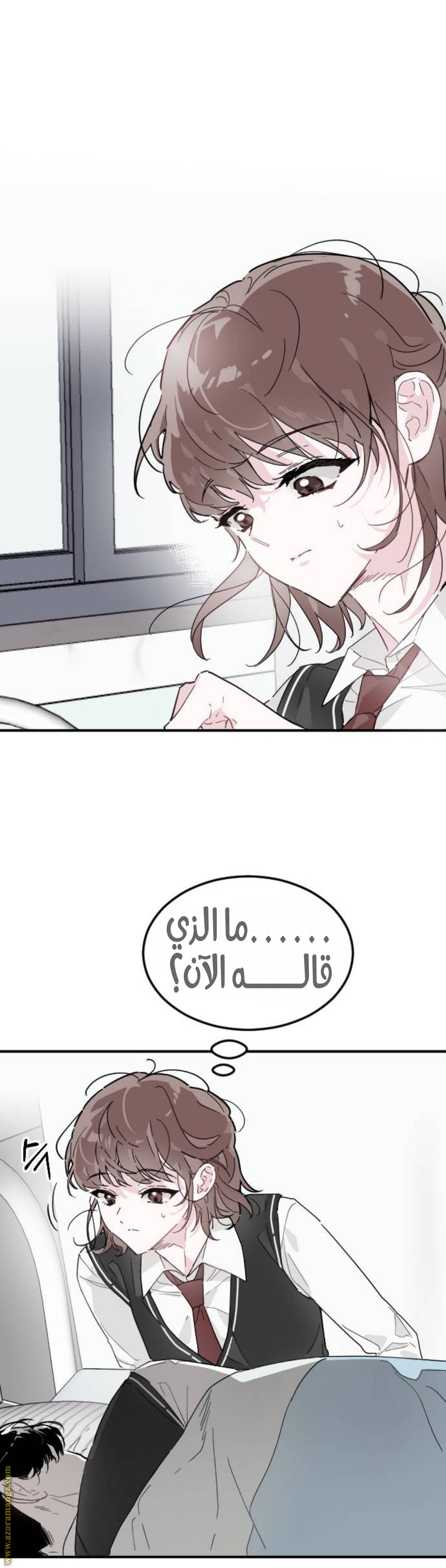 الصفحة 29