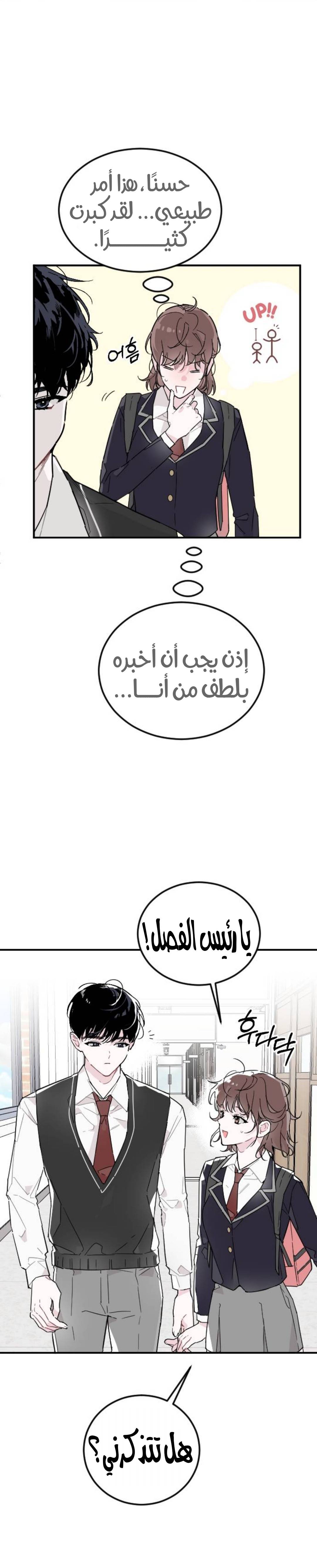 الصفحة 15
