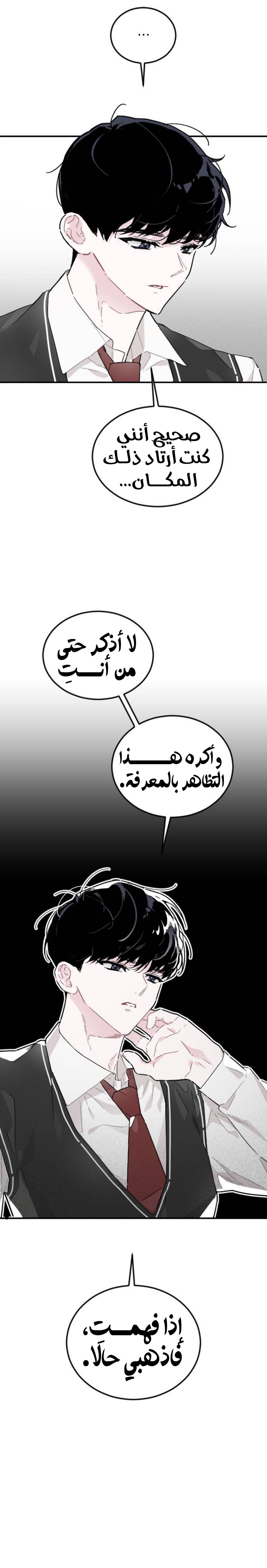 الصفحة 17