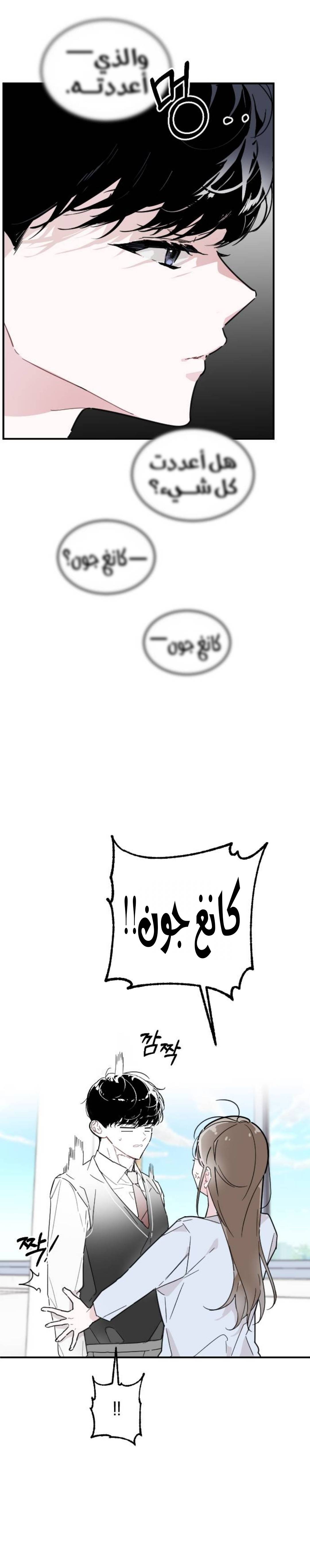 الصفحة 25