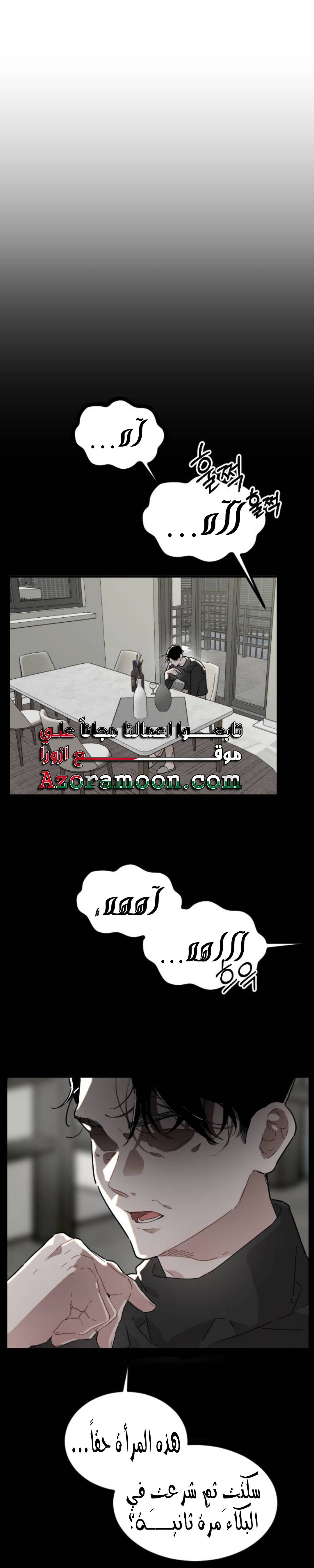 الصفحة 28