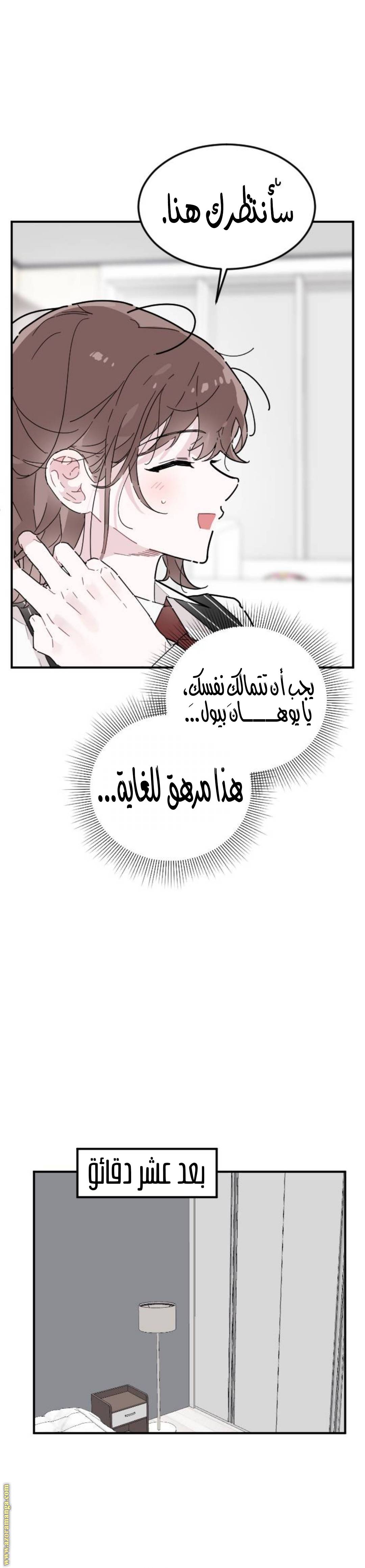 الصفحة 11