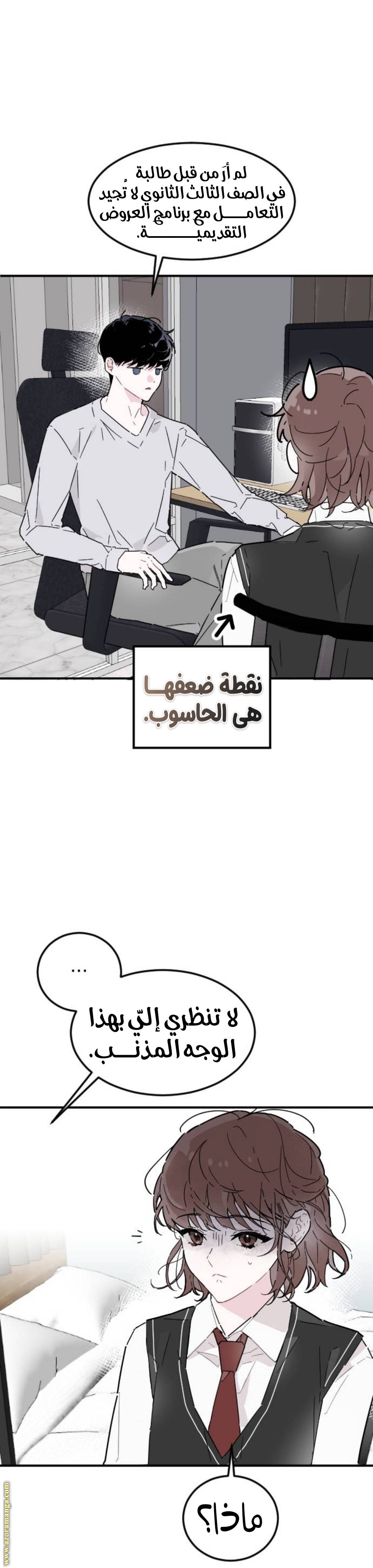 الصفحة 13