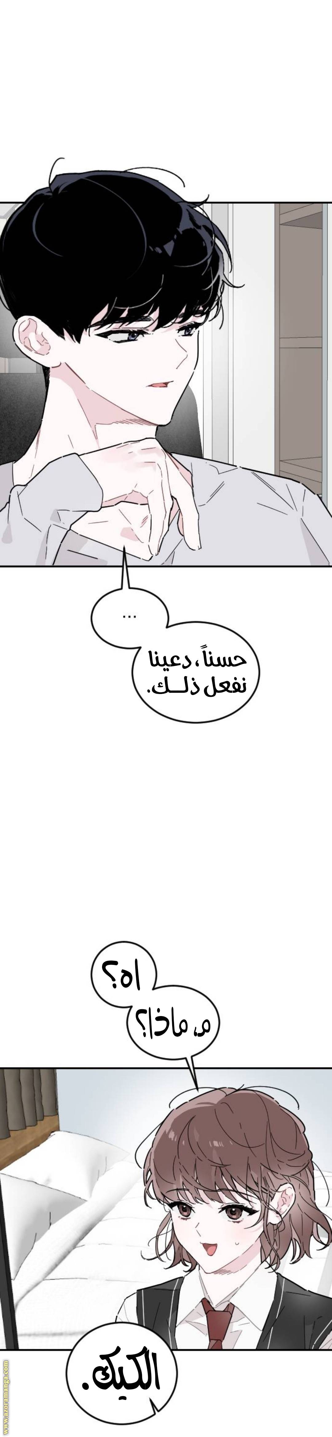 الصفحة 17