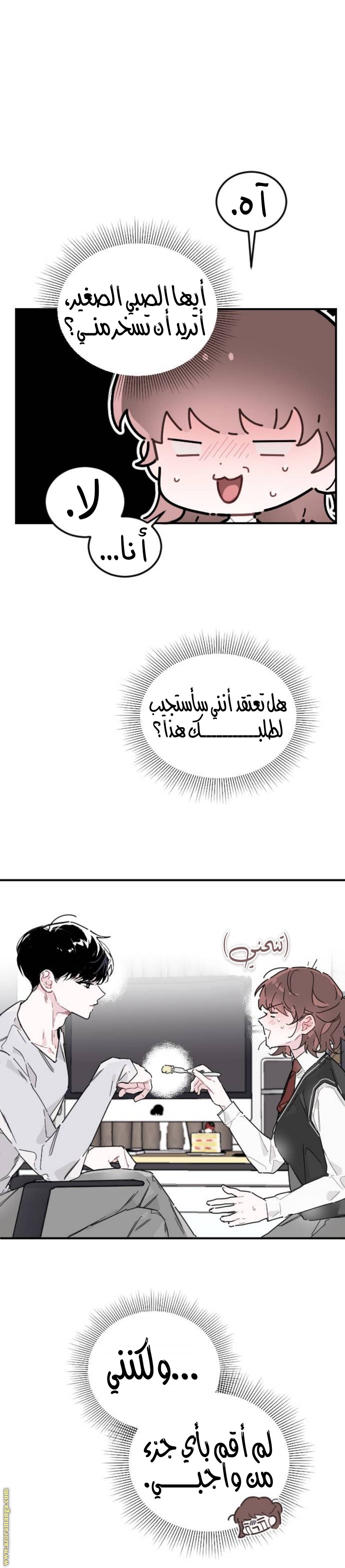 الصفحة 19
