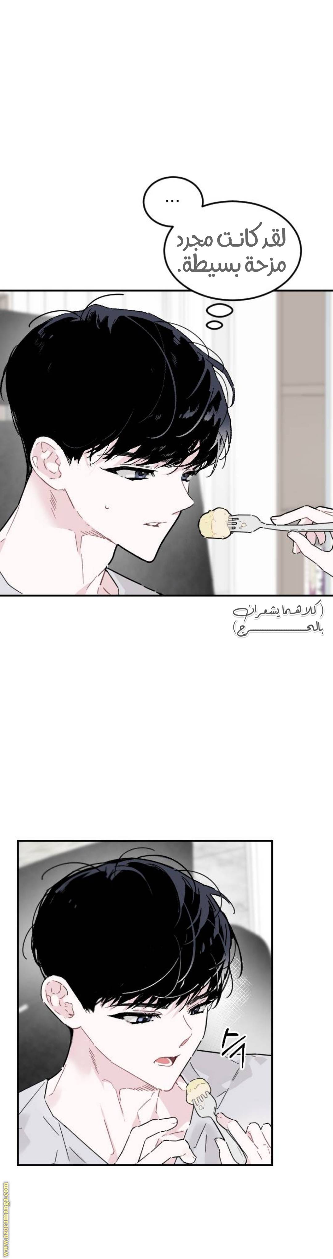 الصفحة 20
