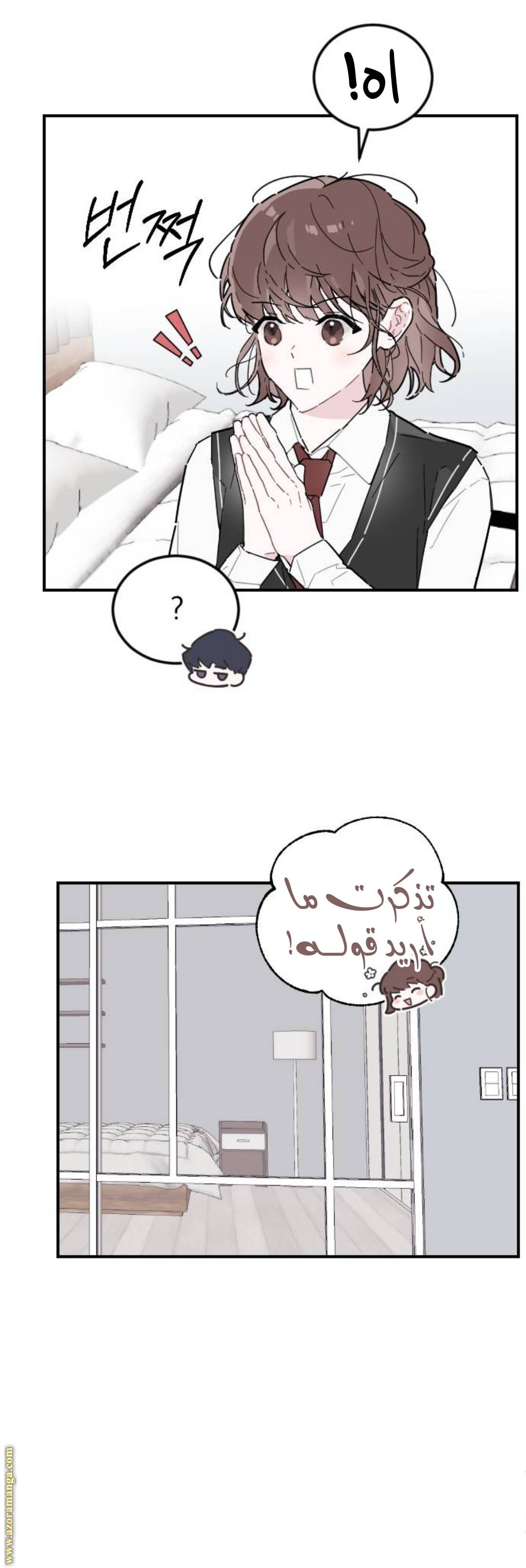 الصفحة 25
