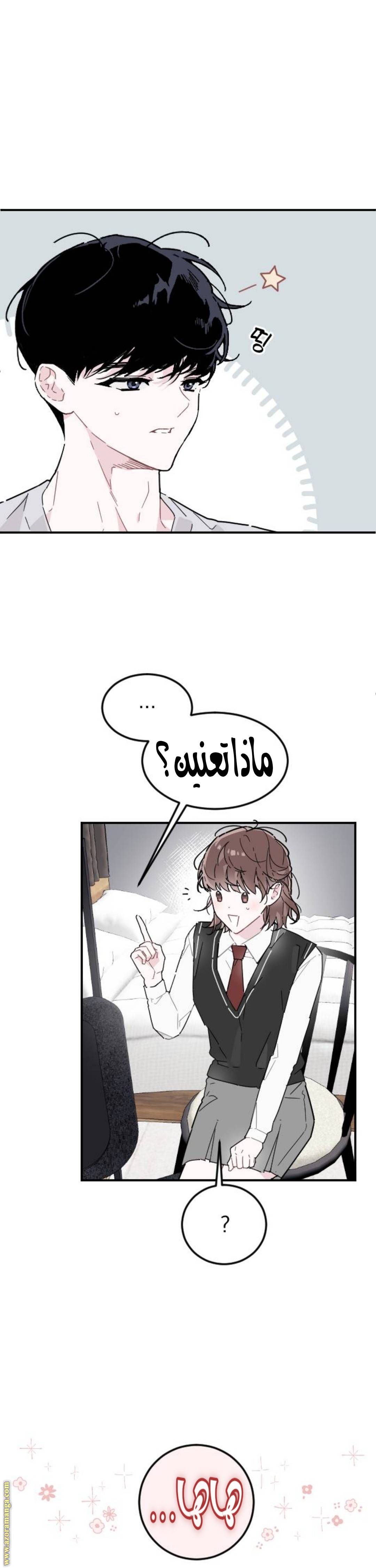 الصفحة 27