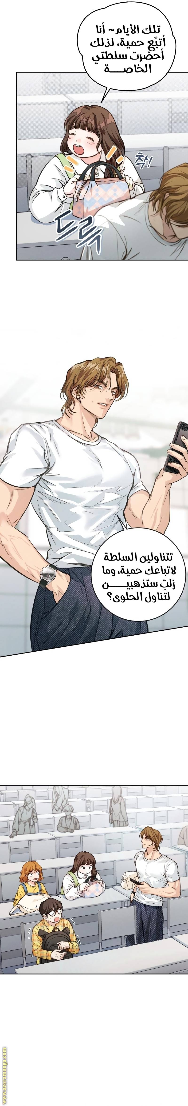 الصفحة 19