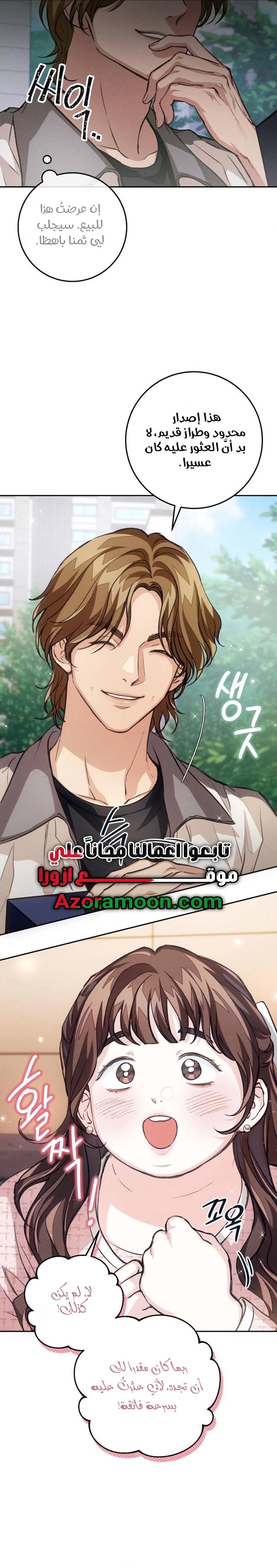 الصفحة 17
