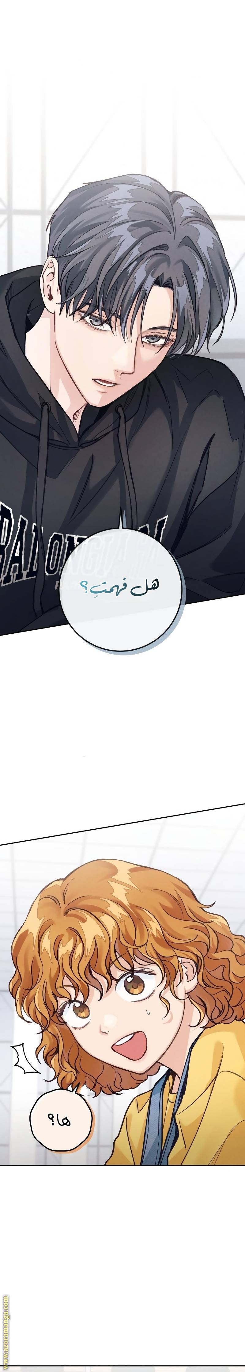 الصفحة 26