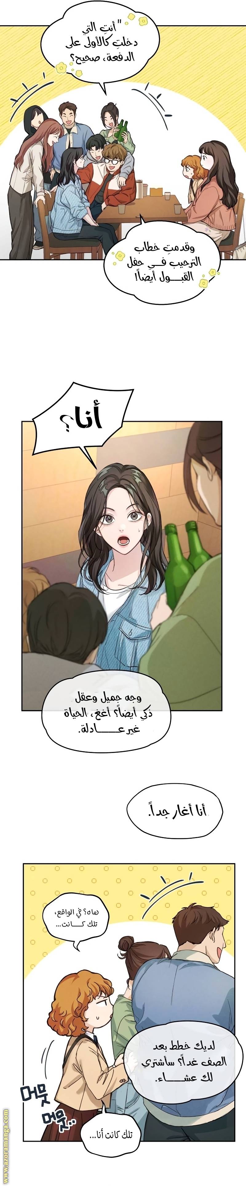 الصفحة 26
