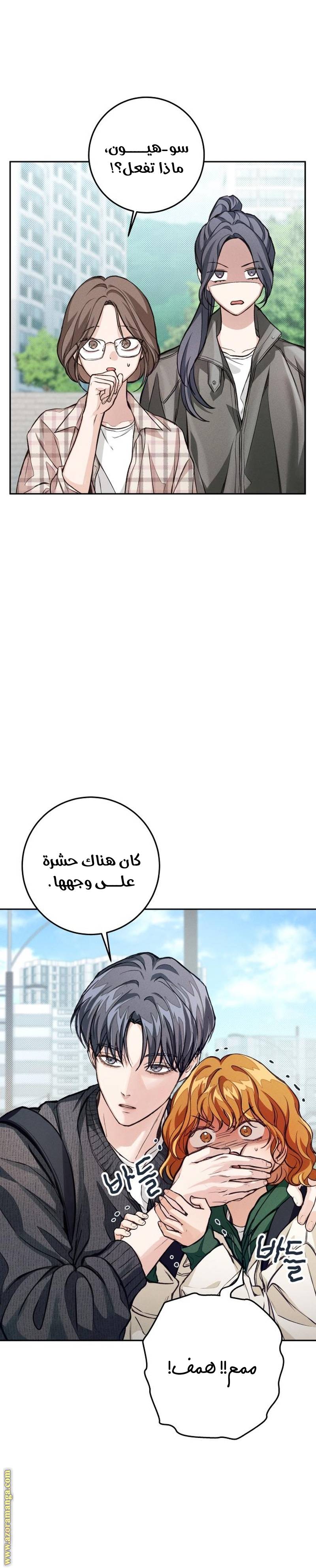 الصفحة 17