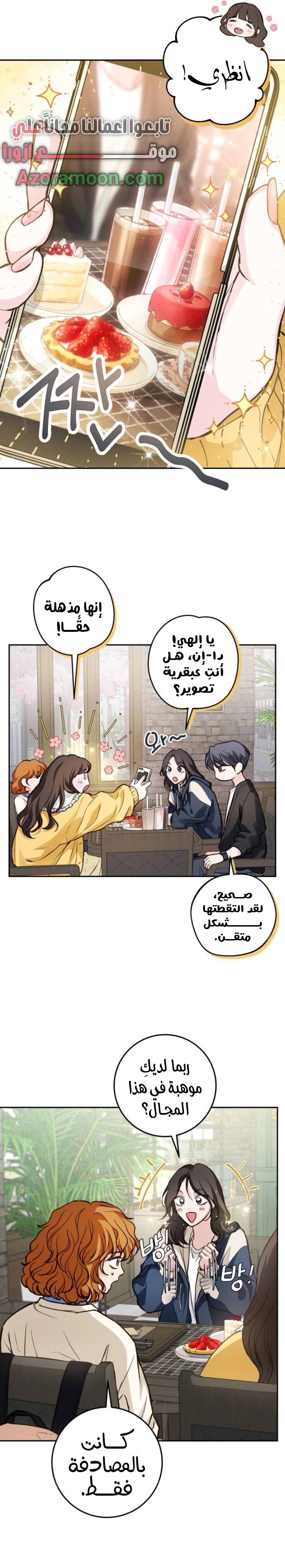الصفحة 17