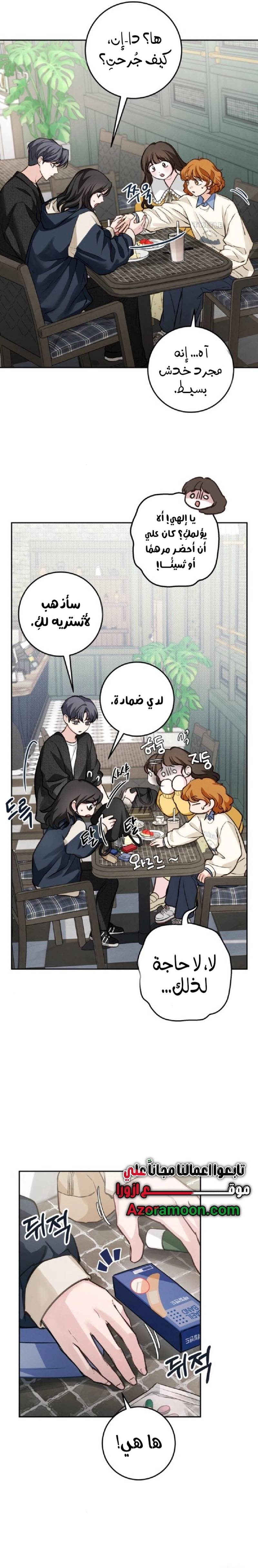 الصفحة 25
