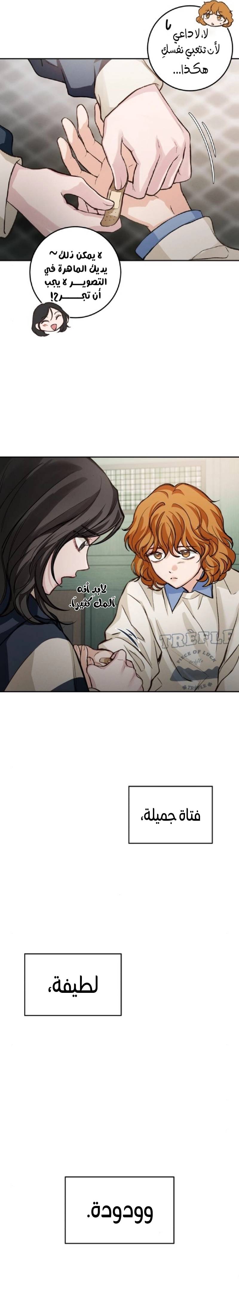 الصفحة 26