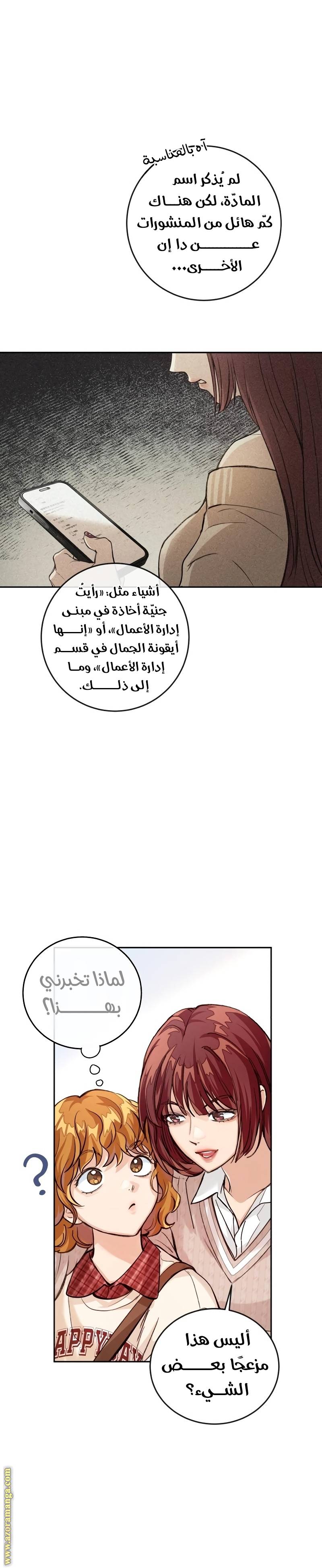 الصفحة 17