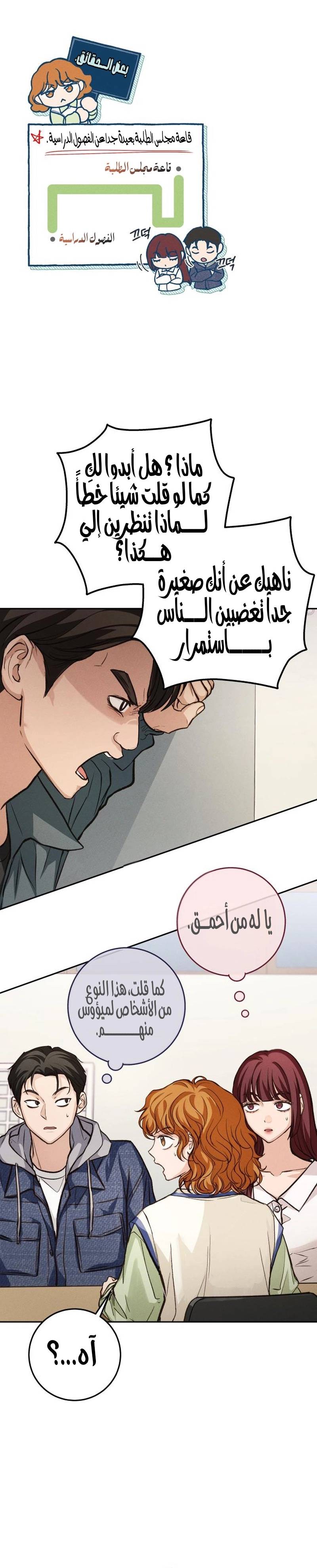 الصفحة 20