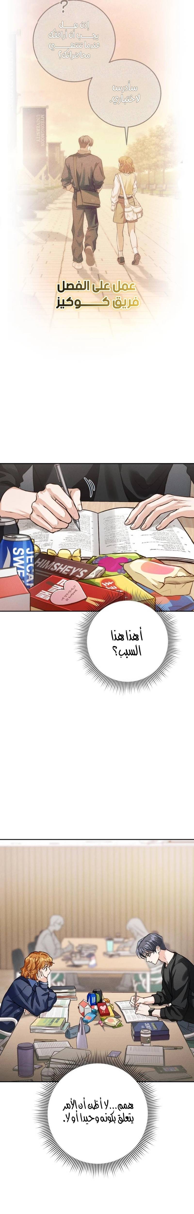 الصفحة 27