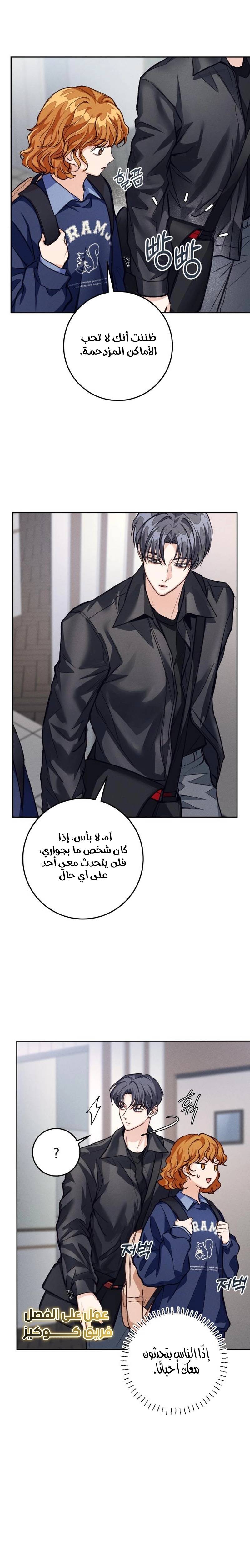 الصفحة 29