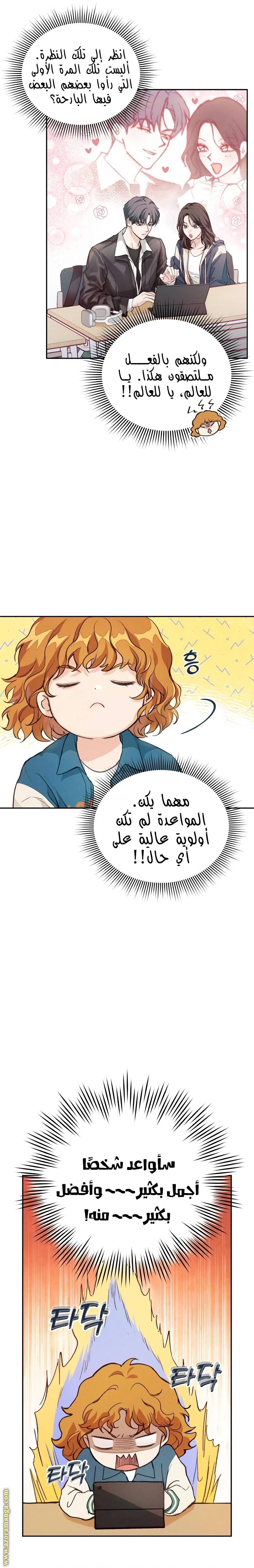 الصفحة 17