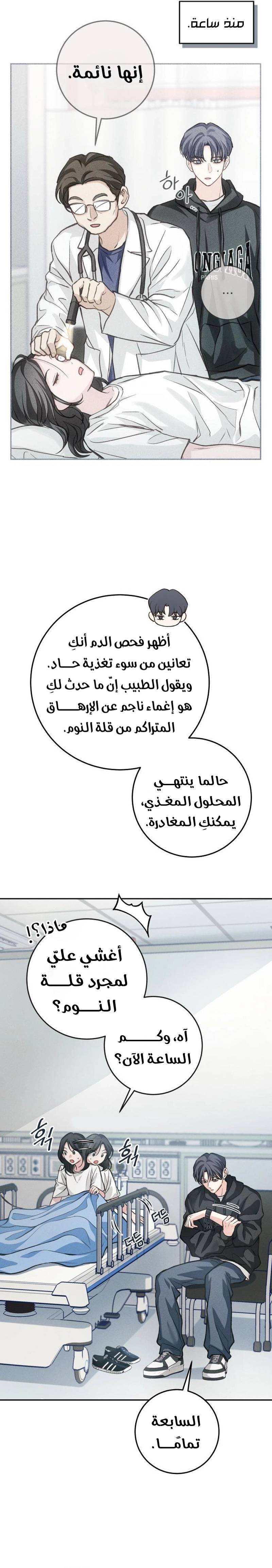 الصفحة 11