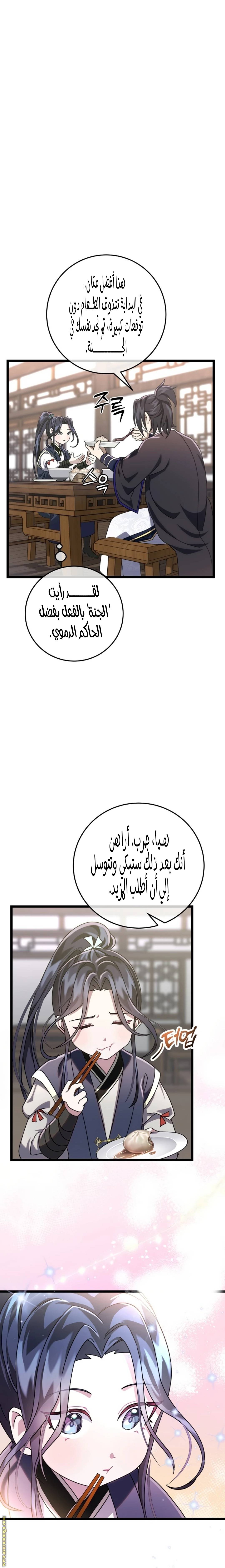 الصفحة 17