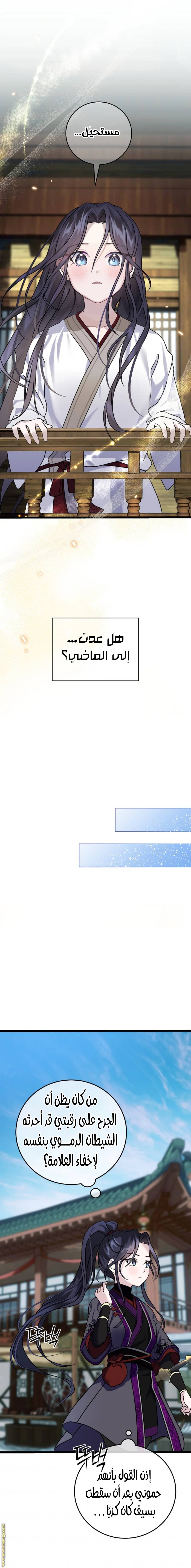 الصفحة 11