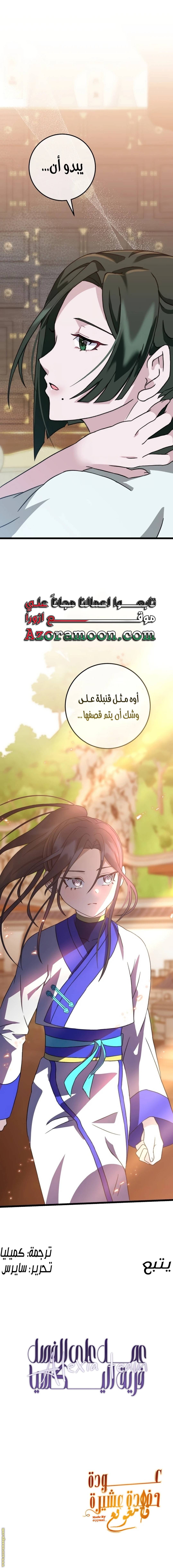الصفحة 17