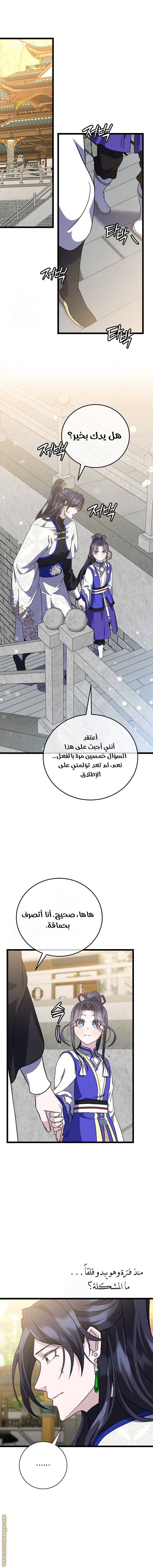 الصفحة 12